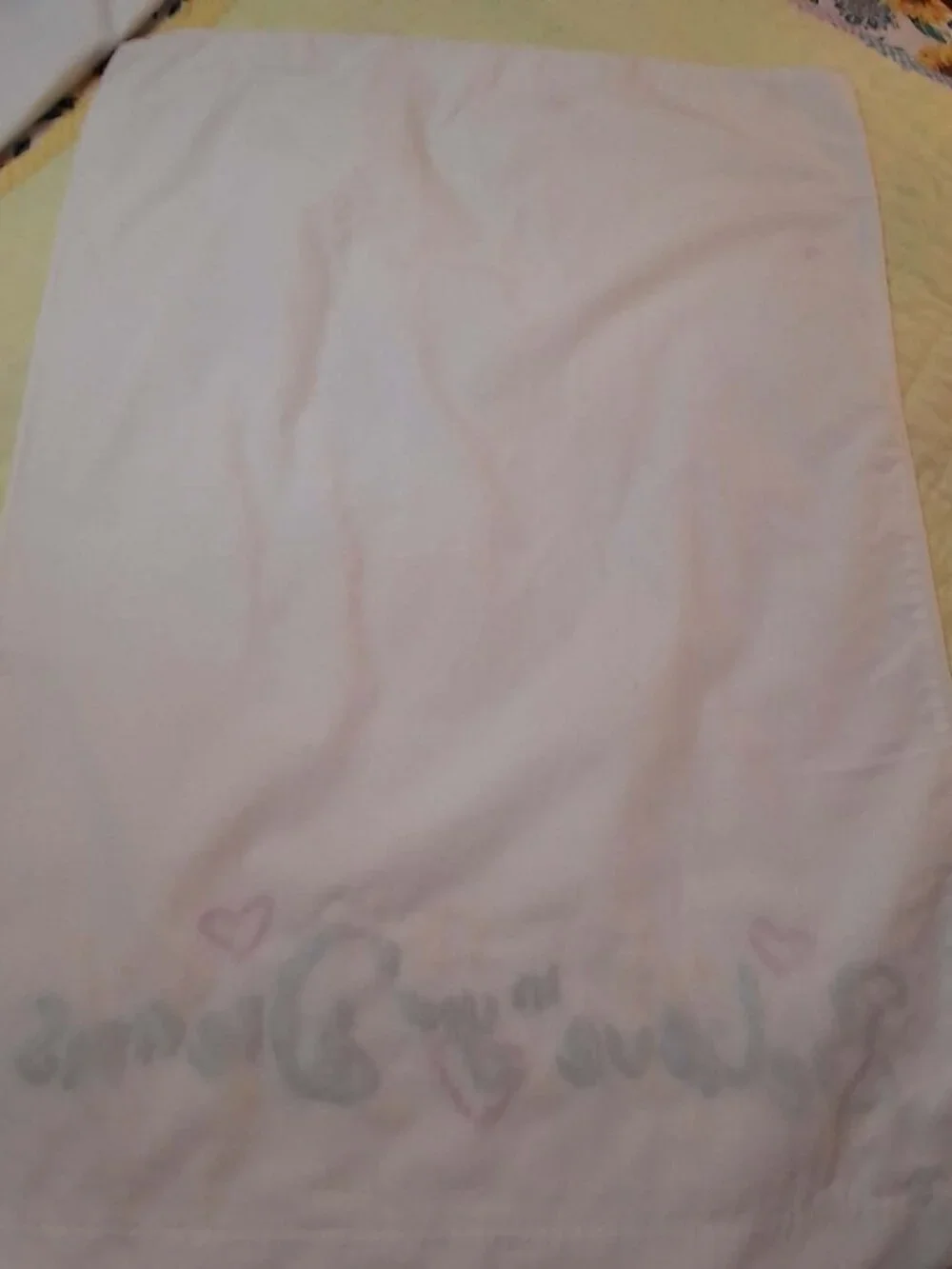 Embroidered Pillow Case (set of 2)